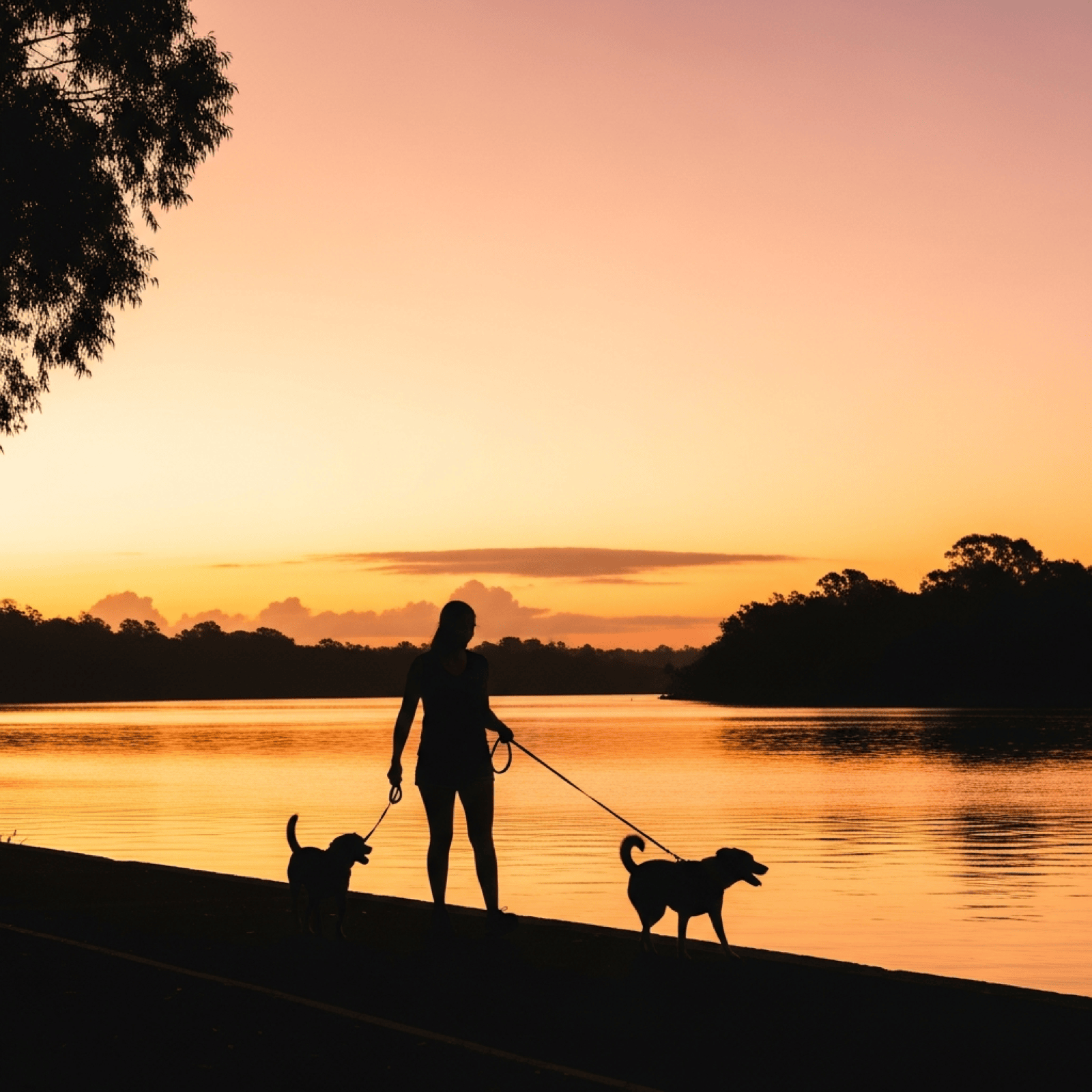 Atmosphere Sunrise Walk